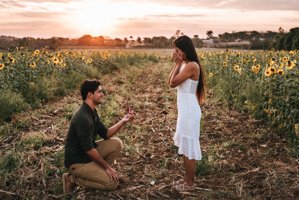 Fernanda e Joacir - Holambra 